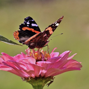 Break Free M1 – De Cyclus van Transformatie